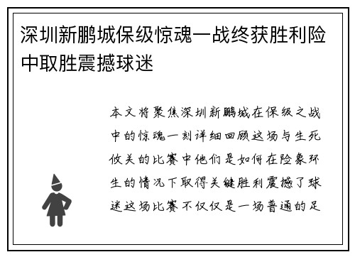 深圳新鹏城保级惊魂一战终获胜利险中取胜震撼球迷